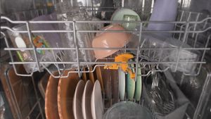 WDTS8024SZ-Best-Dry-Animation_Snippet